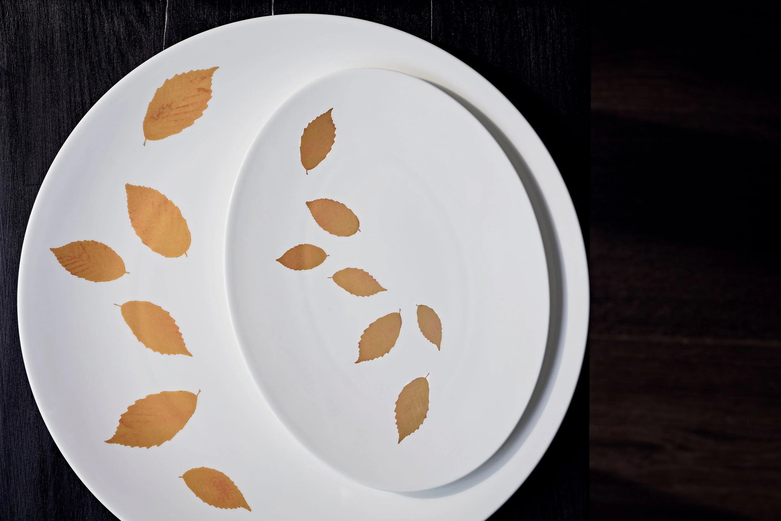 Dibbern Gold Leaf Low Rim Teacup Saucer