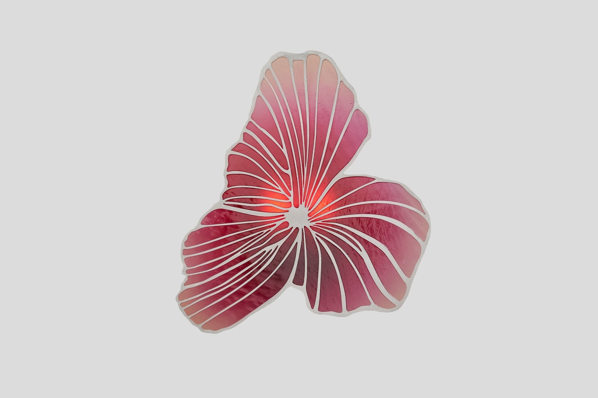 Bloom Wall Light