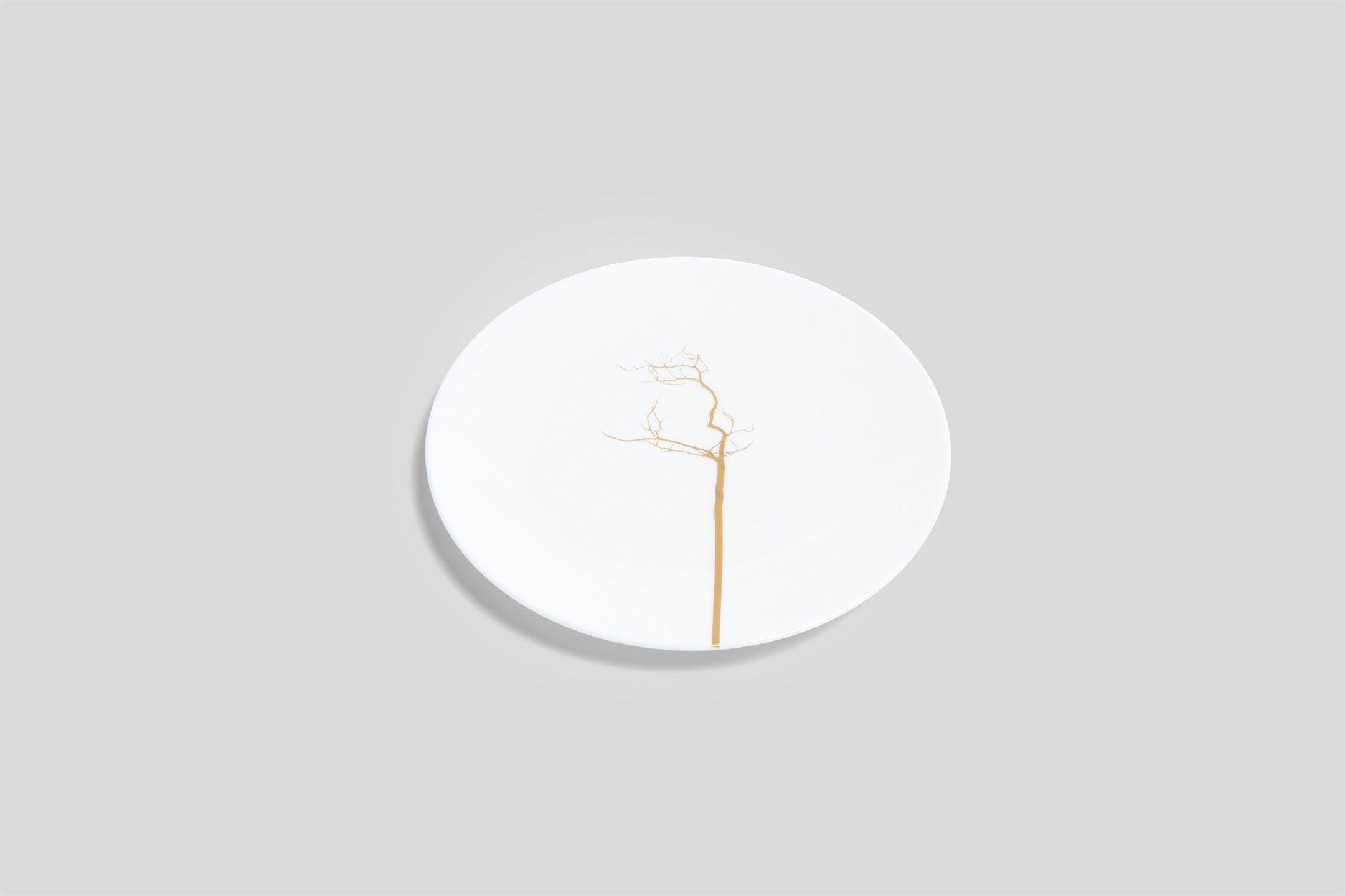 Dibbern Golden Forest Plate