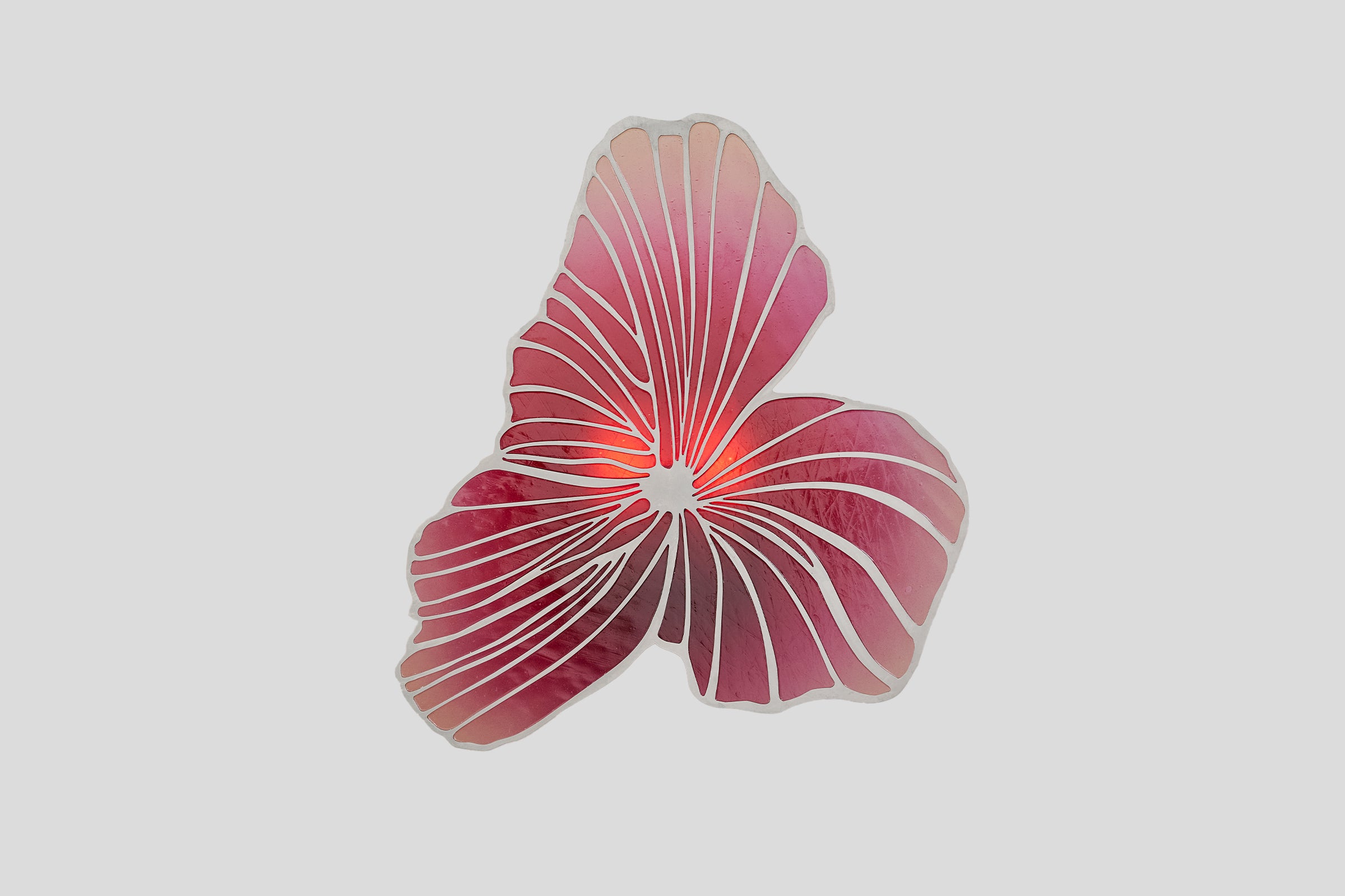 Bloom Wall Light
